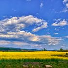 Campos de Solsona