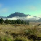 CAMPOS DE SORÍA