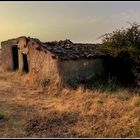 Campos de Soria