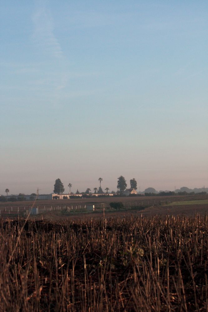 campos del sur en invierno