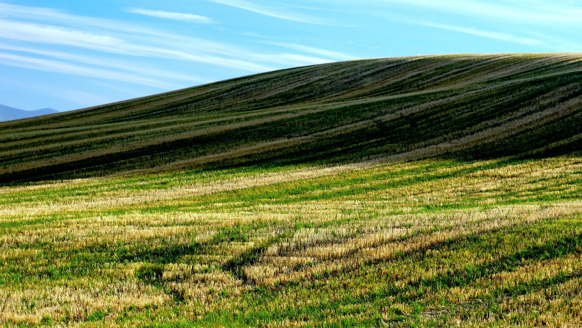 Campos del Sur en Otoño