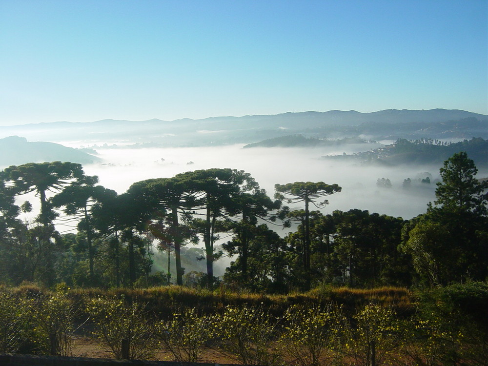 Campos do Jordão - SP