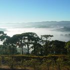 Campos do Jordão - SP