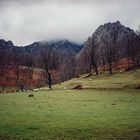 Campos en Asturias