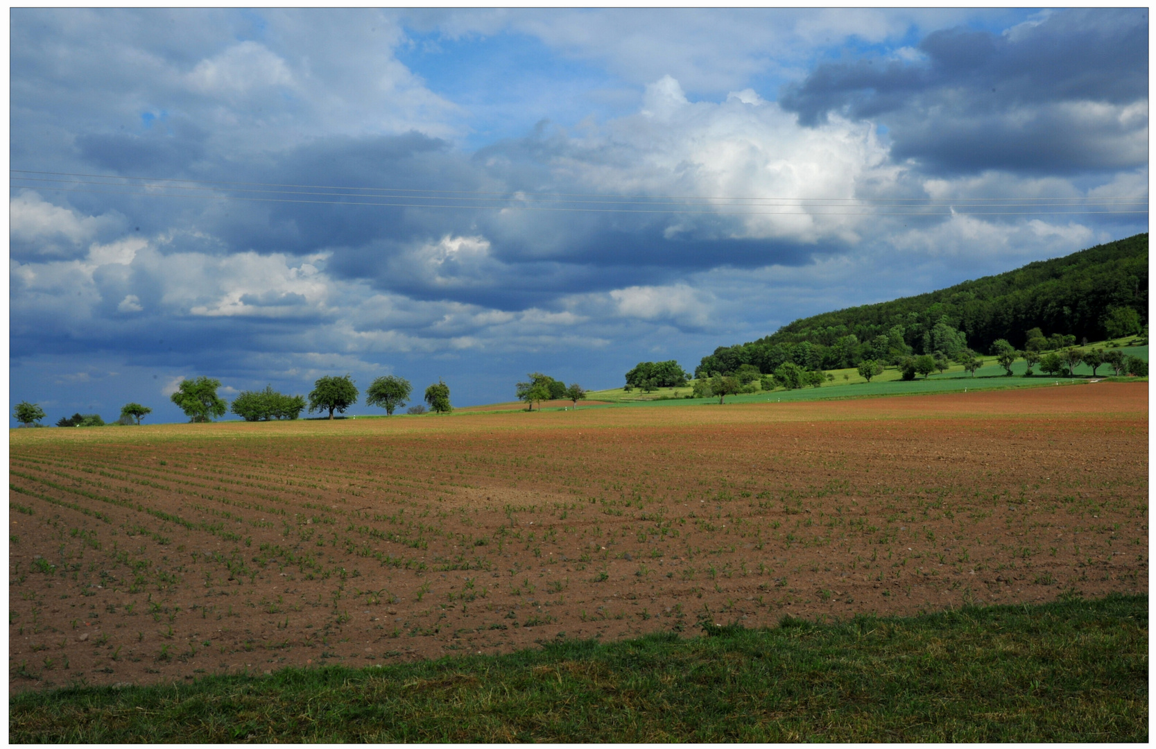 Campos en primavera (Felder im Frühling)