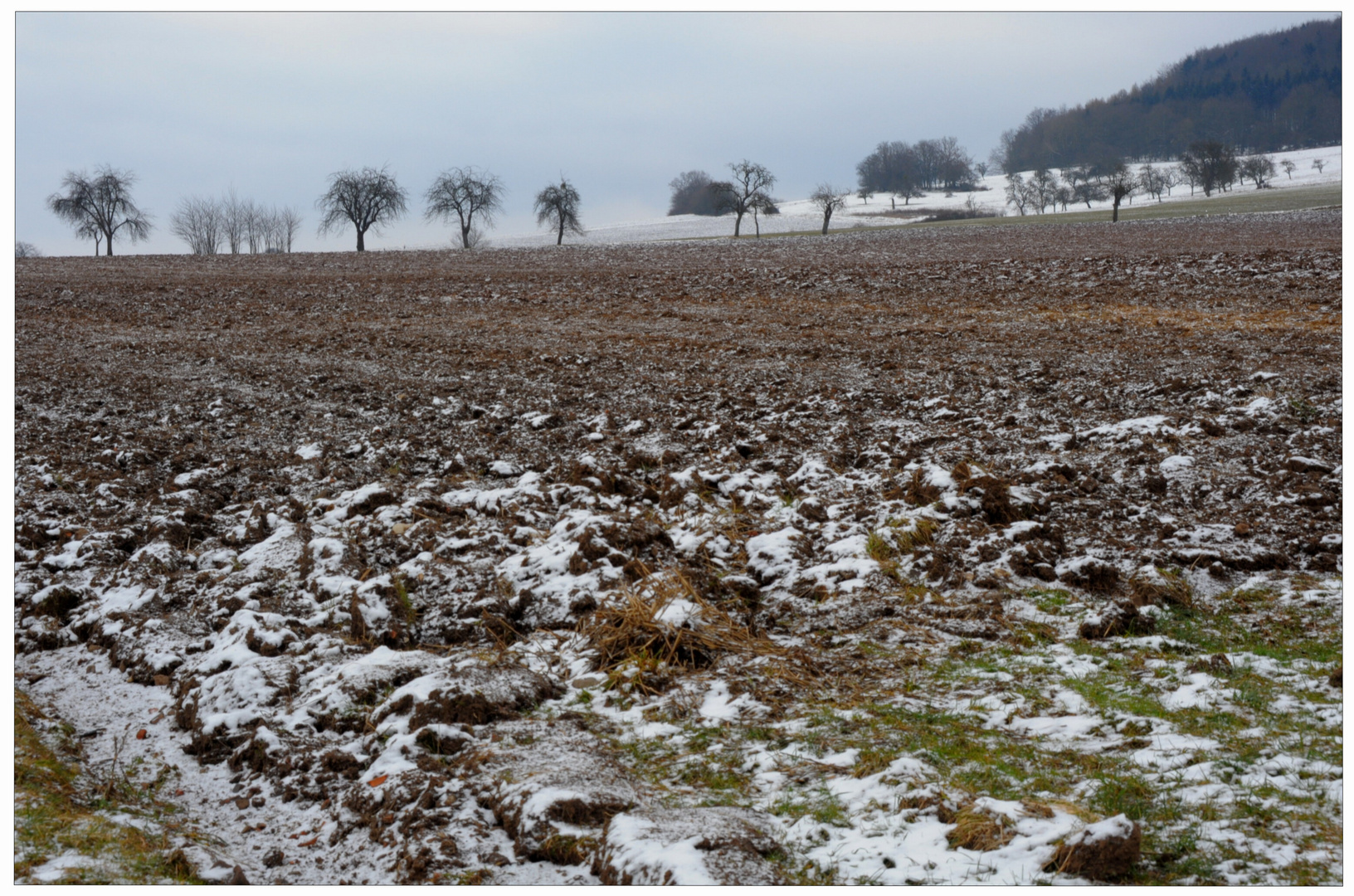 campos, un poco cubiertos de nieve (etwas verschneite Felder)