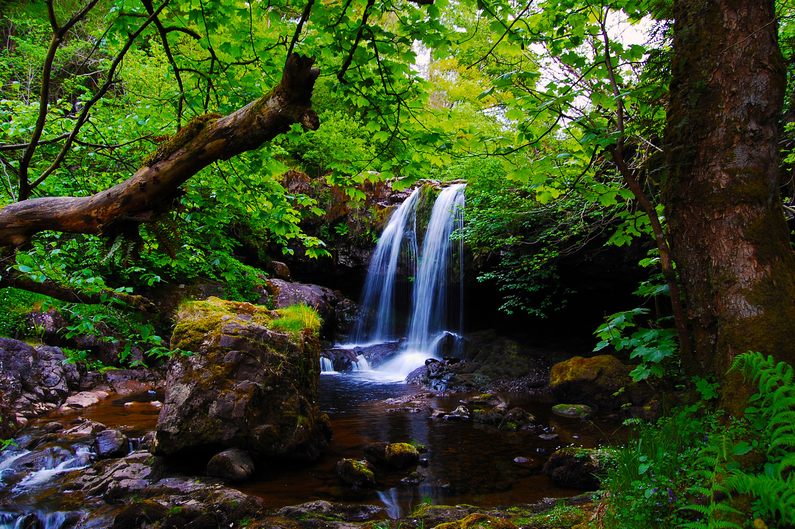 Campsie Glen Waterfall