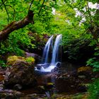 Campsie Glen Waterfall