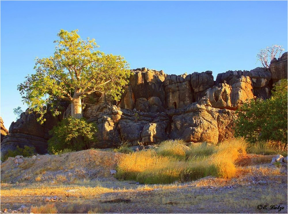 Campsite at Devonian Barrier Reef ** near Leopold Downs **