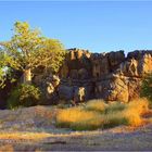 Campsite at Devonian Barrier Reef ** near Leopold Downs **