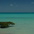 campsite view broome (my little paradise)