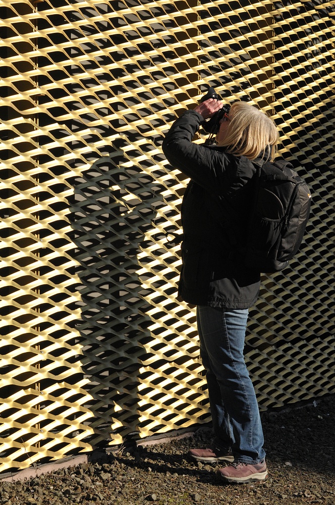 Campus Riedberg: Das Otto – Stern – Zentrum oder Ingwer – Blüten – Gold 03