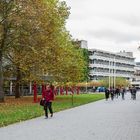 Campusgeschichten 8