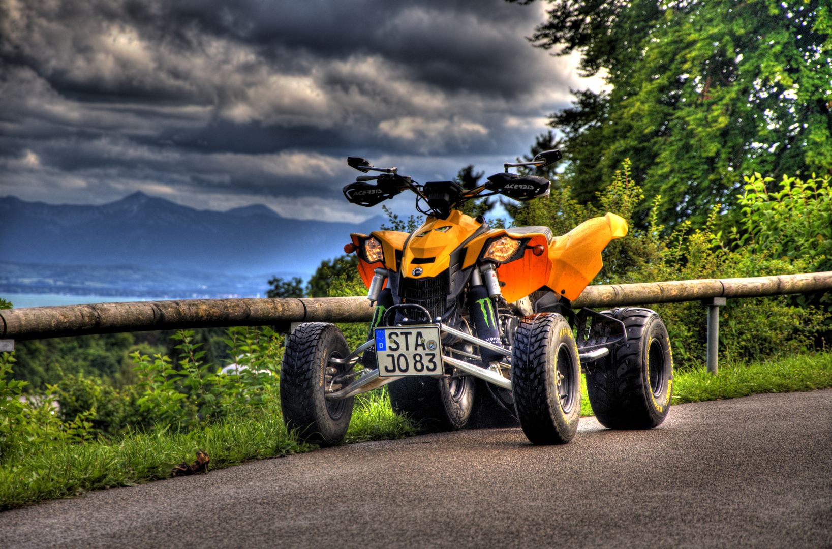 Can-Am DS450