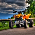 Can-Am DS450