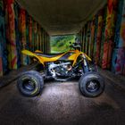 Can-Am DS450 II