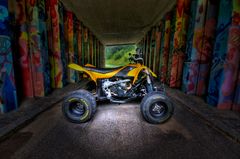 Can-Am DS450 II