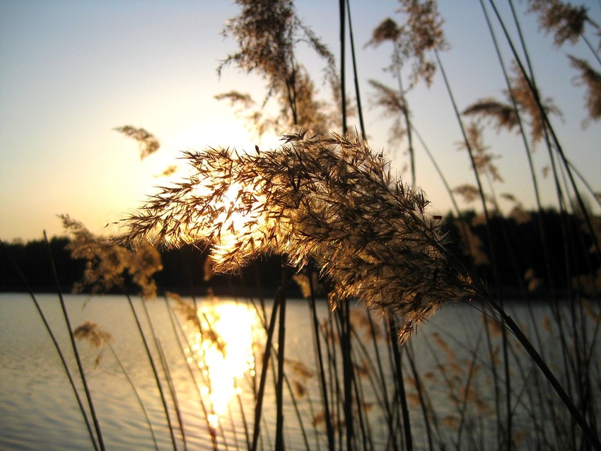 Can you hear the wind?