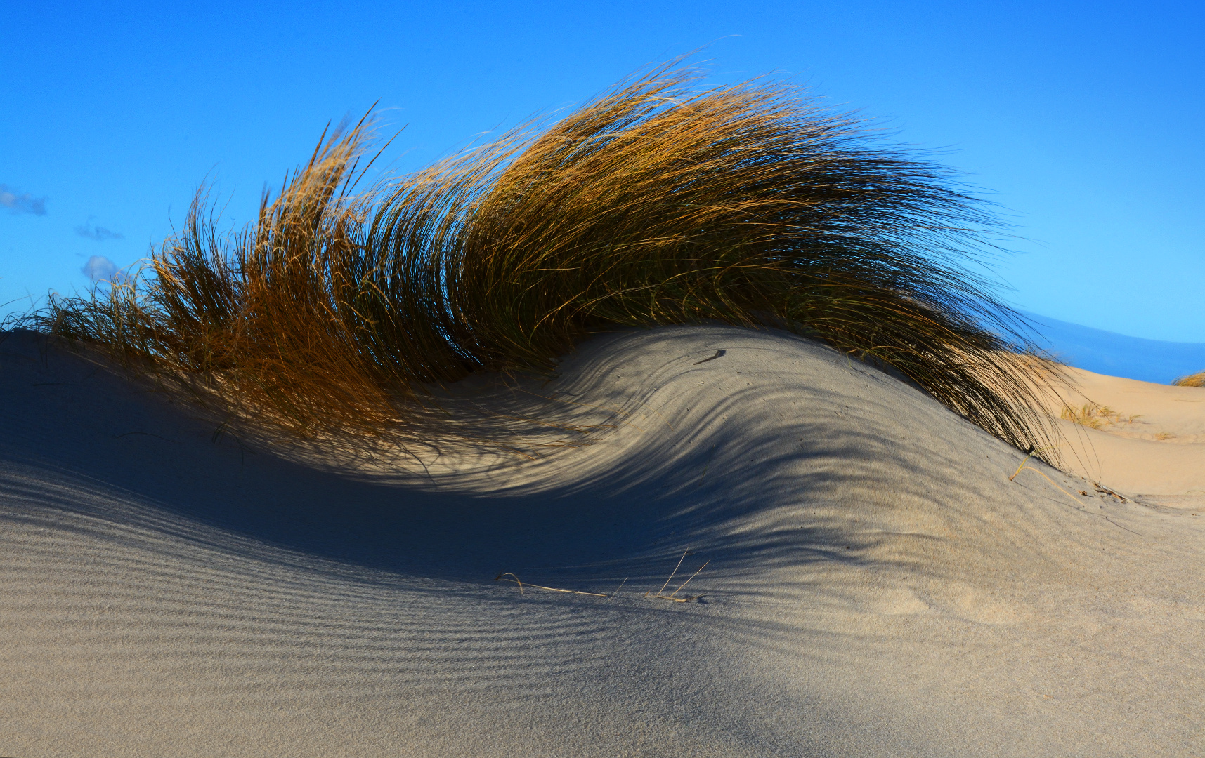 Can you hear the wind?