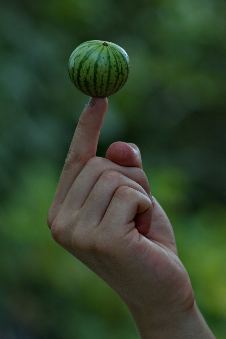 Can you hold a watermelon on your finger? ;-)