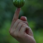 Can you hold a watermelon on your finger? ;-)