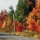 Canada (1991-1993), Indian Summer