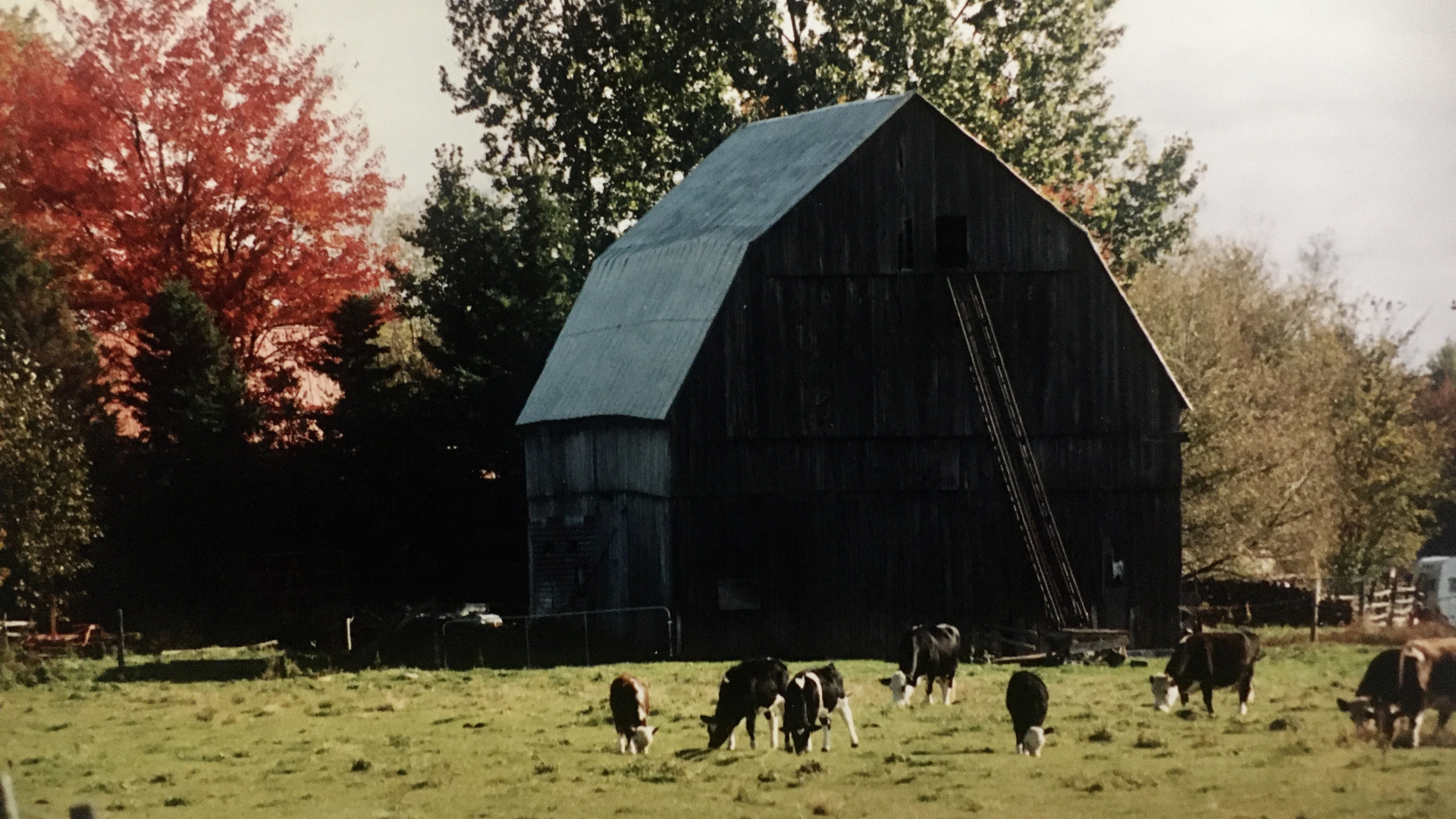 Canada (1991-1993), Ontario Farm