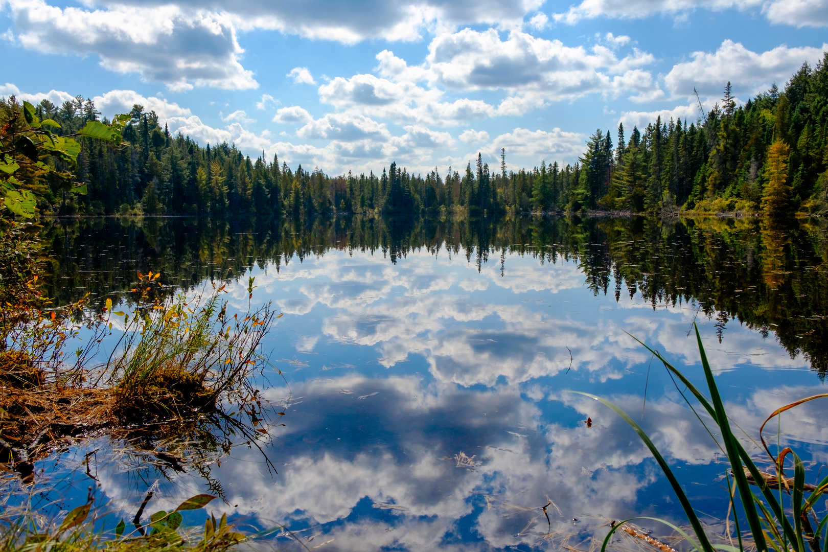 Canada Algonquin Park