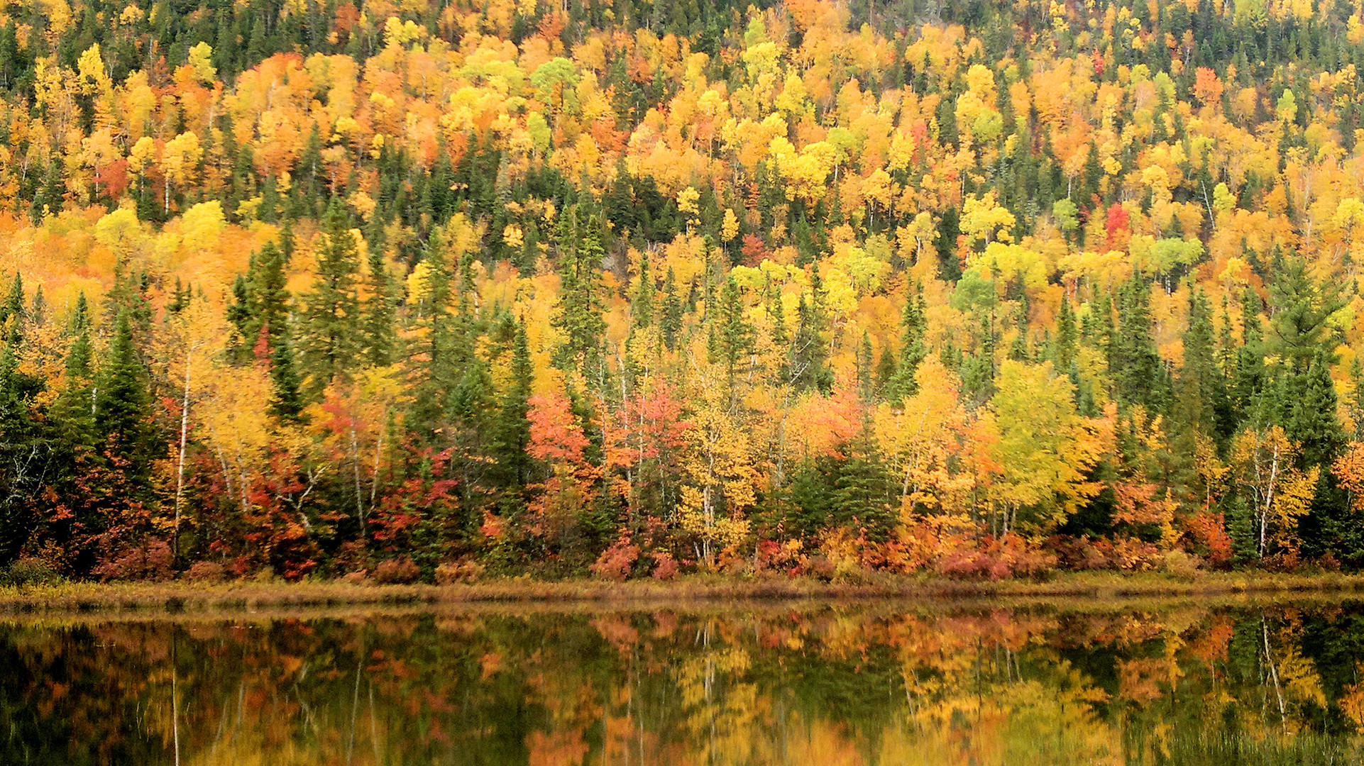 Canada couleurs d'octobre (3)