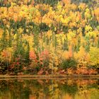 Canada couleurs d'octobre (3)