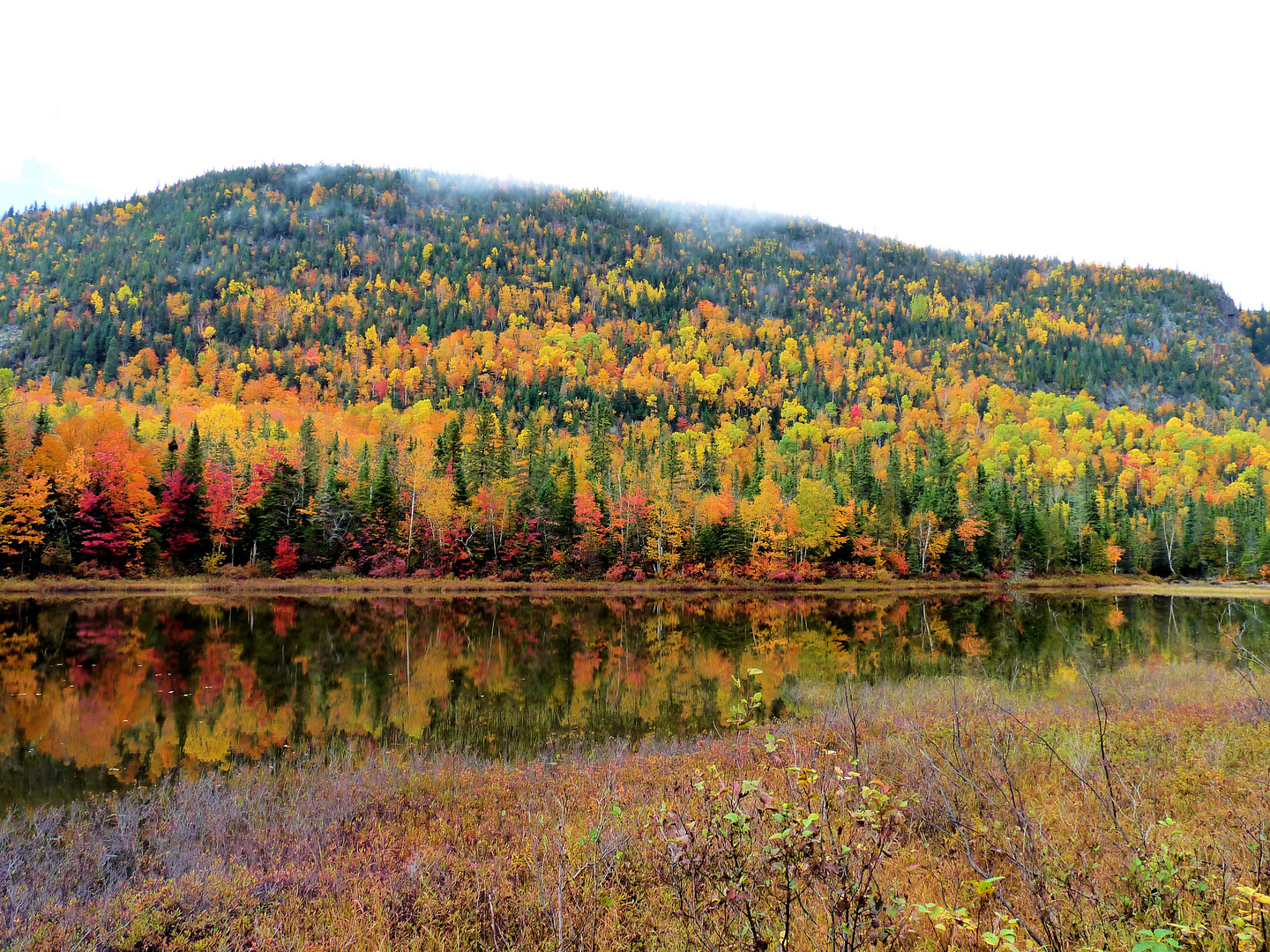 Canada couleurs d'octobre (4)