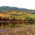 Canada couleurs d'octobre (4)