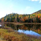 Canada couleurs d'octobre (5)