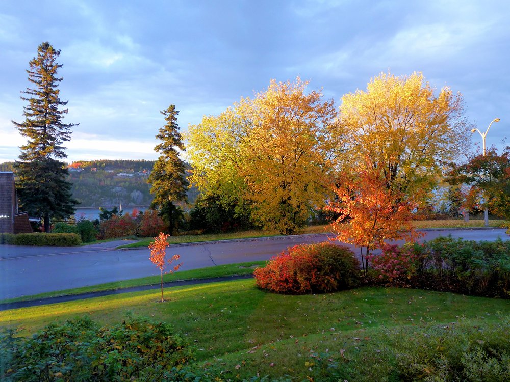 Canada couleurs d'octobre