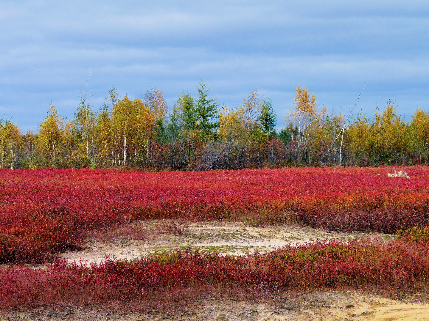 Canada couleurs d'octobre (8)