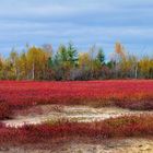 Canada couleurs d'octobre (8)