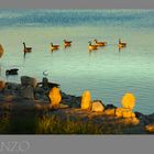 Canada - Lake Ontario