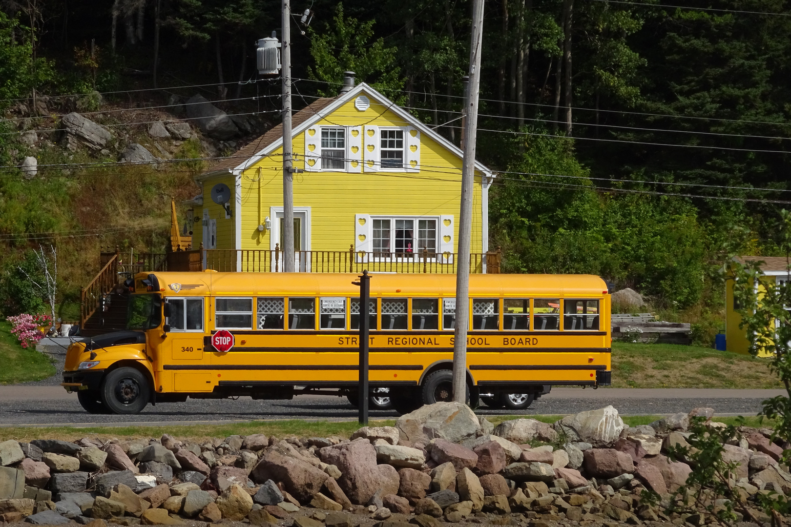 Canada yellow bus