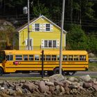 Canada yellow bus