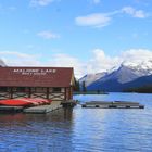 Canada/Alberta/Maligne-Lake-Jasper-NP
