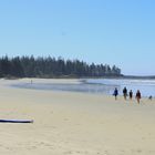 Canada/British Columbia/Vancouver Island/Pacific-Rim-NP/Long Beach