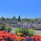 Canada/British Columbia/Vancouver Island/Victoria/Parlament und Inner Habour-Victoria-1