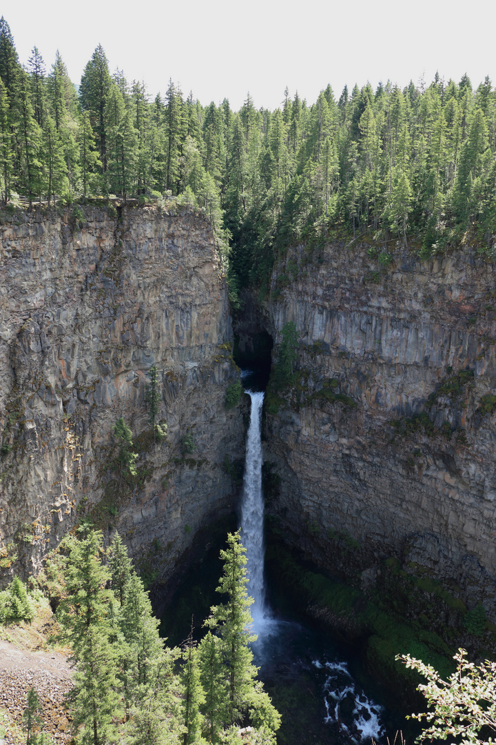 Canada/British Columbia/Wells-Gray-Provincial-ParkSpahats-Falls-Aussichtspunkt