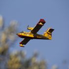 Canadair