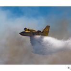 Canadair