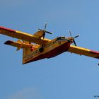 canadair antincendio