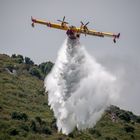 Canadair en action