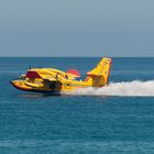 Canadair im Einsatz 1/5