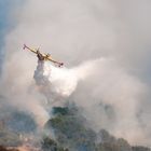 Canadair im Einsatz 3/5