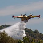 Canadair im Einsatz (4/5)